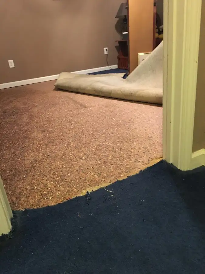 Carpet pad removal revealing water damage during Drying & Dehumidification in Rolling Hills Estates