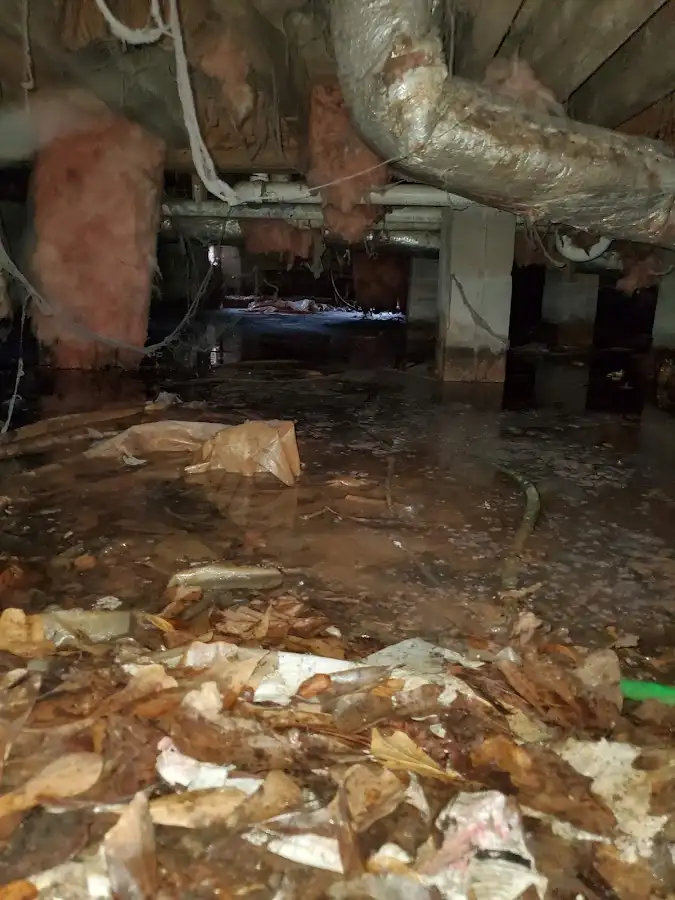 Crawl space flood assessment for Commercial Water Damage Restoration in Rolling Hills Estates