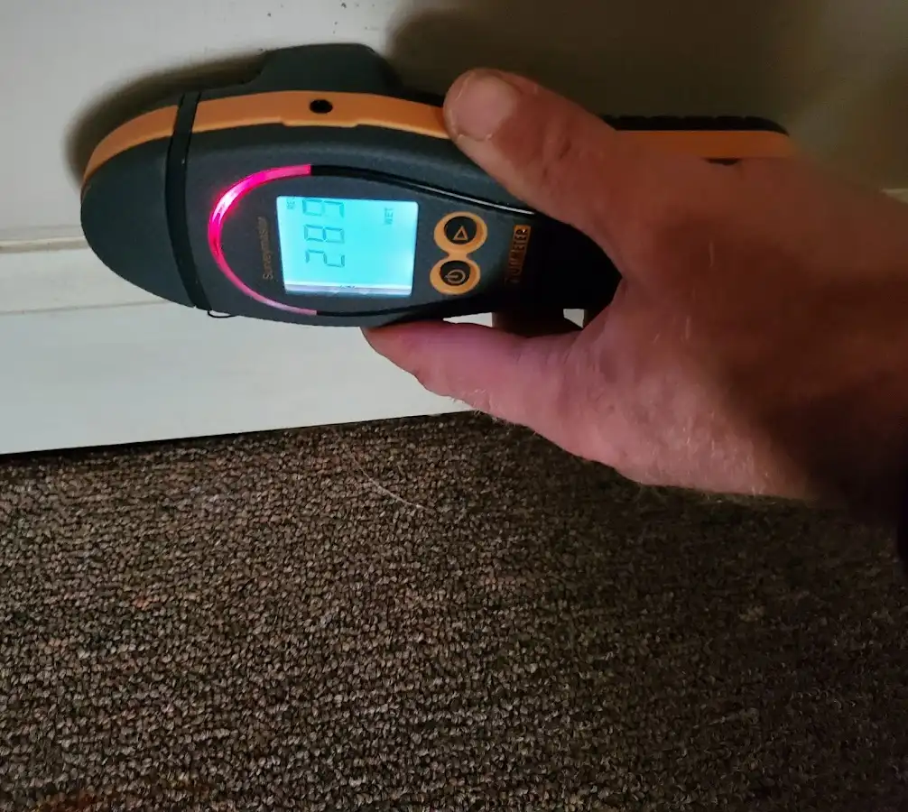 Moisture detection at baseboard during Mold Inspection & Testing in Rolling Hills Estates