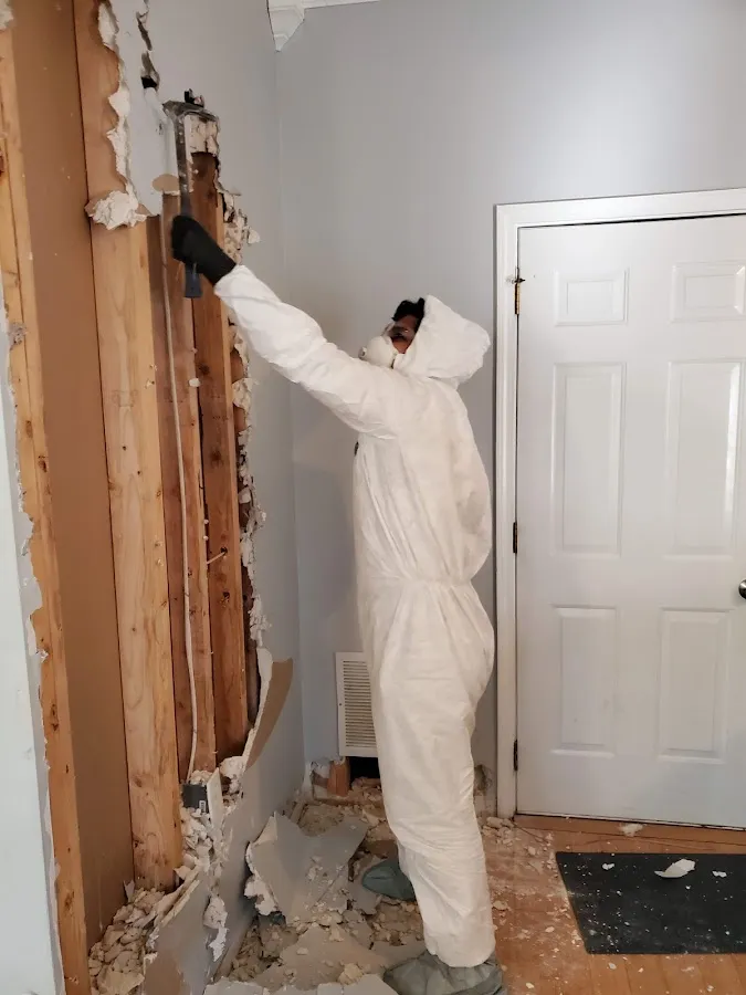 Mold Inspection & Testing in Rolling Hills Estates, CA